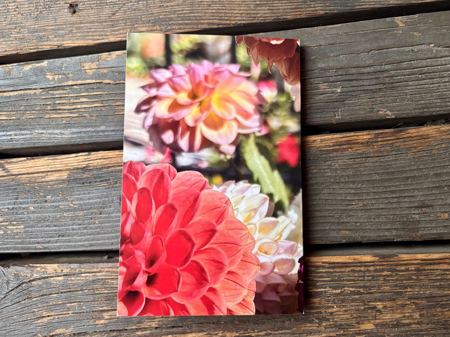 Budding Dahlia Journal