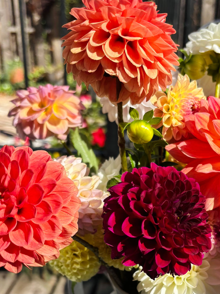 Garden Treasures