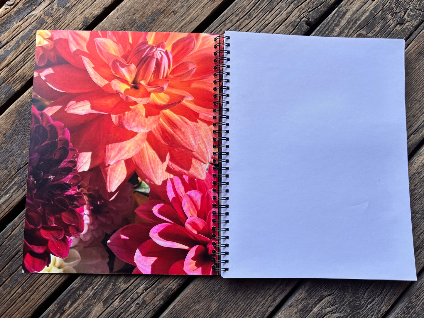 Dahlia Journal