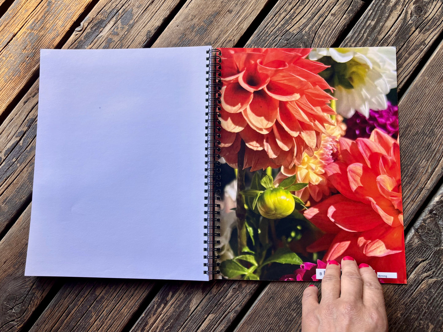 Dahlia Journal